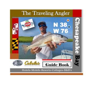real 3d flipbook - Chesapeake Bay Traveling Angler 12-19